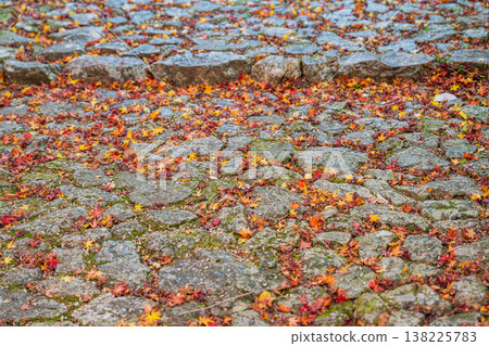 Autumn leaves scattered on the stone pavement Autumn leaves scattered on the stone pavement 138225783