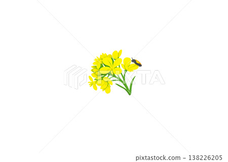 油菜花和瓢蟲標誌 138226205
