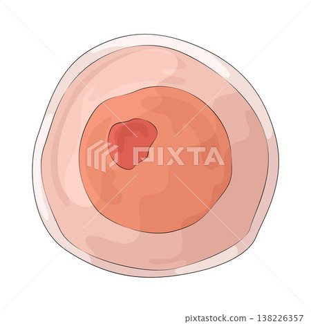 Illustration of Cancer Cell Illustration of Cancer Cell 138226357