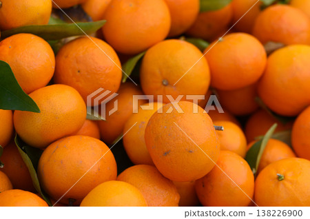 Vibrant oranges basking in golden sunlight amidst lush green leaves at a sun-kissed orchard in the warm afternoon hours Vibrant oranges basking in golden sunlight amidst lush green leaves at a sun-kissed orchard in the warm afternoon hours 138226900