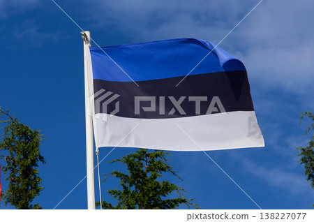 Waving Estonian flag against a clear blue sky amidst green trees in bright sunlight Waving Estonian flag against a clear blue sky amidst green trees in bright sunlight 138227077