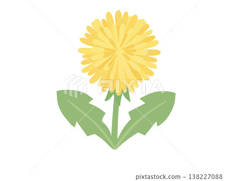 Cute dandelion illustration Cute dandelion illustration 138227088