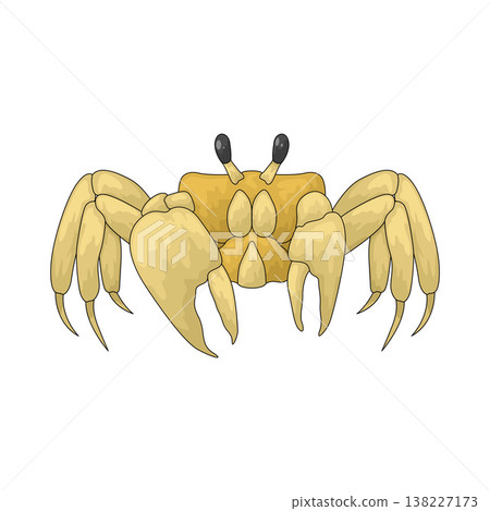 Illustration of Crab Illustration of Crab 138227173