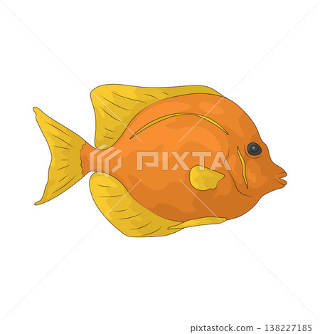 Illustration of Fish Illustration of Fish 138227185