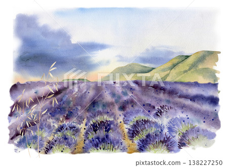 Purple lavender plantation, green hills, mountains. Airy summer clouds, wheat grass blades. Illustration hand drawn in watercolor. Provence travel guides, botanical packaging, farm tourism marketing. 138227250