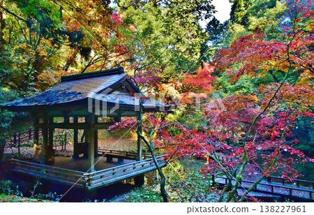 Autumn leaves at Kamoyama Park in Kamo City, Niigata Prefecture Autumn leaves at Kamoyama Park in Kamo City, Niigata Prefecture 138227961