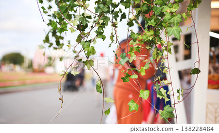 Ivy vine hanging with blurred people walking background 138228484