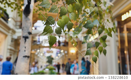 Birch tree leaves framing Moscow GUM interior Birch tree leaves framing Moscow GUM interior 138228610