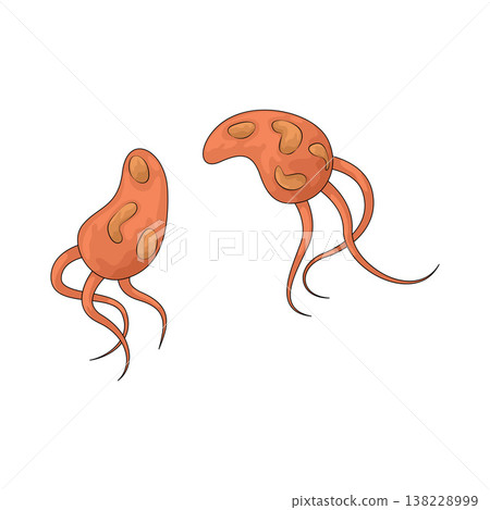 Illustration of Bacteria 138228999