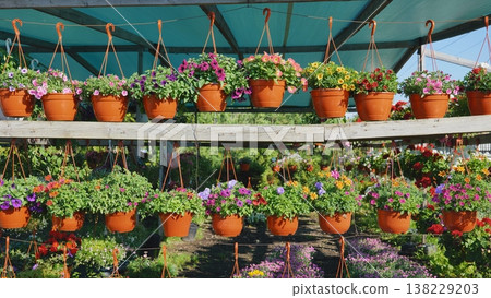 Hanging flower pots decorating a greenhouse ceiling 138229203