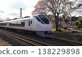 The Limited Express Hitachi train runs beneath the fully bloomed weeping cherry trees. 138229898