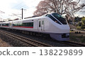 The Limited Express Hitachi train runs beneath the fully bloomed weeping cherry trees. 138229899