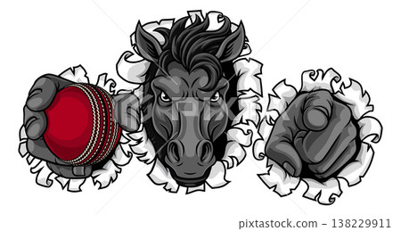 Horse Mustang Cricket Sports Team Mascot 138229911