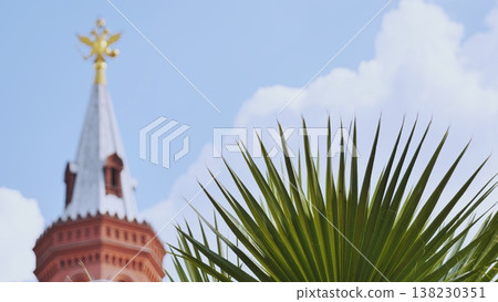 Tropical plant growing near the Moscow Kremlin with blue sky and clouds Tropical plant growing near the Moscow Kremlin with blue sky and clouds 138230351