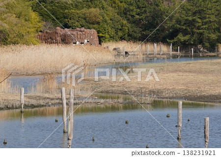 Birdwatching hut at Kasai Rinkai Park Birdwatching hut at Kasai Rinkai Park 138231921