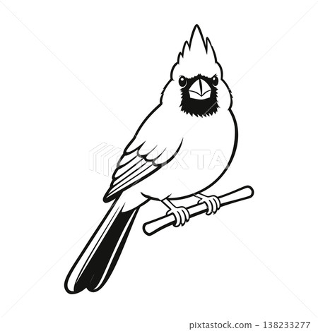 cardinal mascot logo design vector template cardinal mascot logo design vector template 138233277