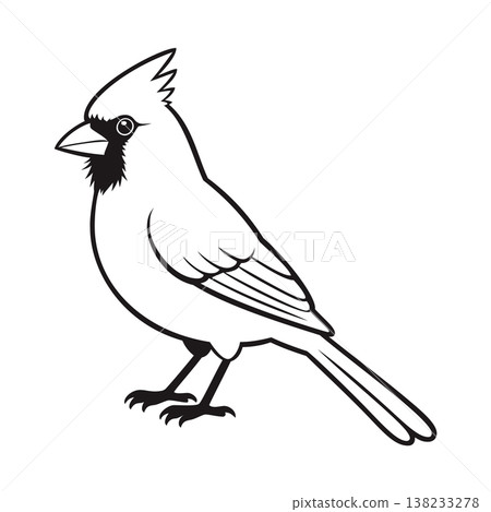 cardinal mascot logo design vector template cardinal mascot logo design vector template 138233278