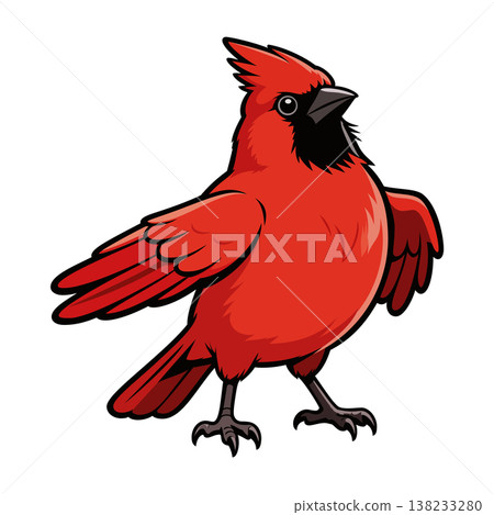 cardinal mascot logo design vector template cardinal mascot logo design vector template 138233280