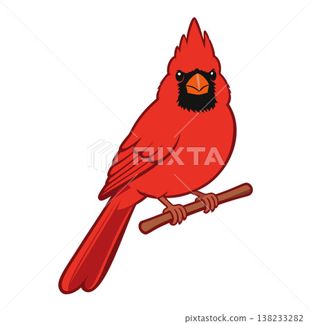 cardinal mascot logo design vector template cardinal mascot logo design vector template 138233282