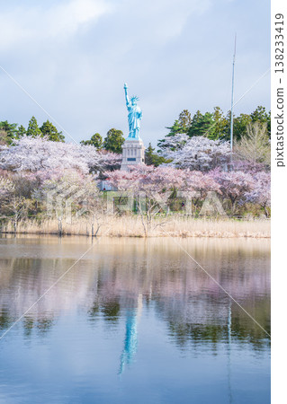Cherry blossoms in full bloom at Icho Park in Oirase Town, Aomori Prefecture. Cherry blossoms in full bloom at Icho Park in Oirase Town, Aomori Prefecture. 138233419