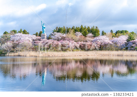青森縣奧入瀨町伊調公園的櫻花盛開。 138233421