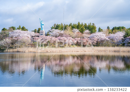 青森縣奧入瀨町伊調公園的櫻花盛開。 138233422