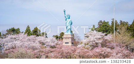 青森縣奧入瀨町伊調公園的櫻花盛開。 138233428