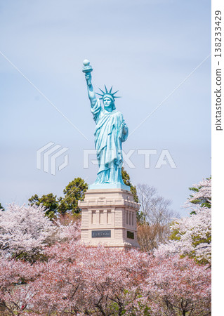 Cherry blossoms in full bloom at Icho Park in Oirase Town, Aomori Prefecture. 138233429