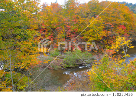 Yagen Gorge in late autumn (Mutsu City, Aomori Prefecture) 138233436