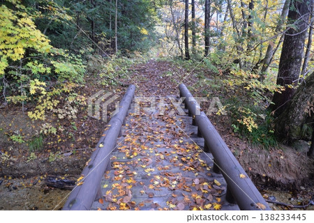 Yagen Gorge in late autumn (Mutsu City, Aomori Prefecture) 138233445