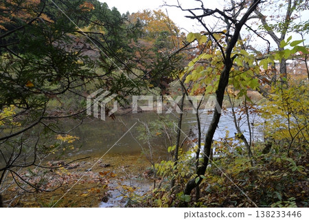 Yagen Gorge in late autumn (Mutsu City, Aomori Prefecture) Yagen Gorge in late autumn (Mutsu City, Aomori Prefecture) 138233446