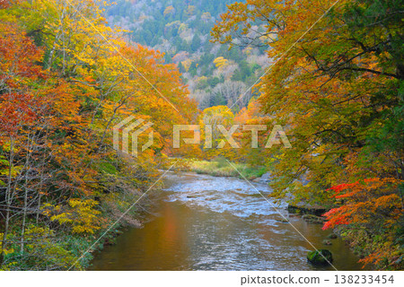 Yagen Gorge in late autumn (Mutsu City, Aomori Prefecture) 138233454