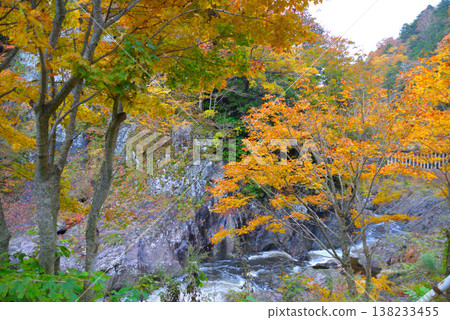 Yagen Gorge in late autumn (Mutsu City, Aomori Prefecture) Yagen Gorge in late autumn (Mutsu City, Aomori Prefecture) 138233455