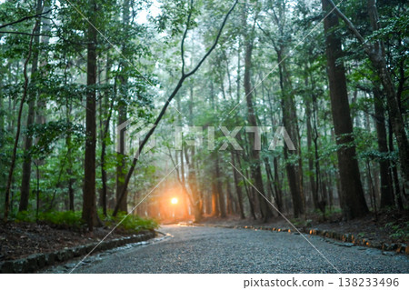 The fantastical sight of the morning sun shining through the misty forest path to the shrine. The fantastical sight of the morning sun shining through the misty forest path to the shrine. 138233496