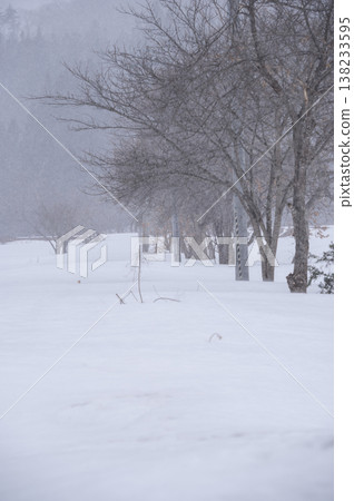 A landscape of snow-covered fields shrouded in a white mist and rows of trees. 138233595