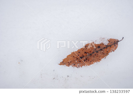 A single withered leaf lies silently on a blanket of snow. A single withered leaf lies silently on a blanket of snow. 138233597