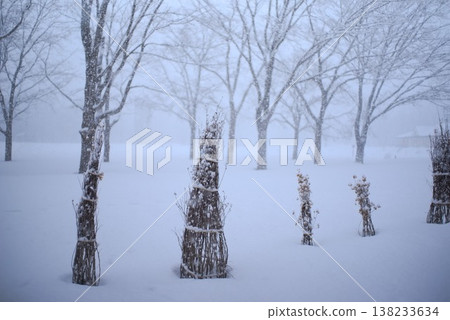 公園裡的雪柵欄和降雪;可用於宣傳冬季風景的留白素材。 公園裡的雪柵欄和降雪;可用於宣傳冬季風景的留白素材。 138233634