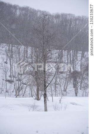 A winter scene in snowy Hinoemata village, with a landscape of silvery snowfields and mixed forests. A winter scene in snowy Hinoemata village, with a landscape of silvery snowfields and mixed forests. 138233677