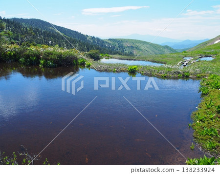 夏季牧畑山上的池塘 夏季牧畑山上的池塘 138233924