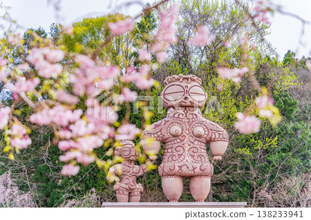青森縣春季-八戶市八戶公園櫻花盛開的景色 青森縣春季-八戶市八戶公園櫻花盛開的景色 138233941