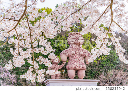青森縣春季-八戶市八戶公園櫻花盛開的景色 青森縣春季-八戶市八戶公園櫻花盛開的景色 138233942