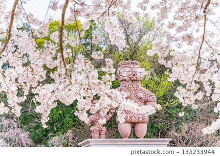 青森縣春季-八戶市八戶公園櫻花盛開的景色 青森縣春季-八戶市八戶公園櫻花盛開的景色 138233944