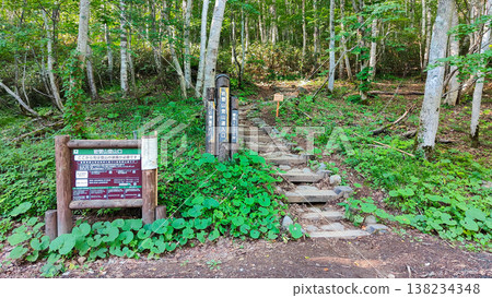 Summer hike up Mt. Iwasuge (Mt. Iwasuge trailhead: Ichinose) Summer hike up Mt. Iwasuge (Mt. Iwasuge trailhead: Ichinose) 138234348