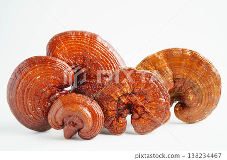 Lingzhi or Reishi mushroom with capsules, organic natural healthy food. 138234467