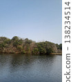 Trees casting shadows on the surface of the pond 138234514