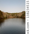 Trees reflected on the surface of the pond 138234515