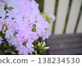 Lady's pale-colored flowers and bench background, azalea material easy to use for gardening promotions. 138234530