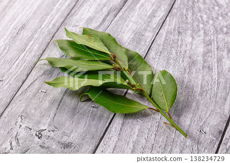 Fresh green laurel leves for cooking Fresh green laurel leves for cooking 138234729