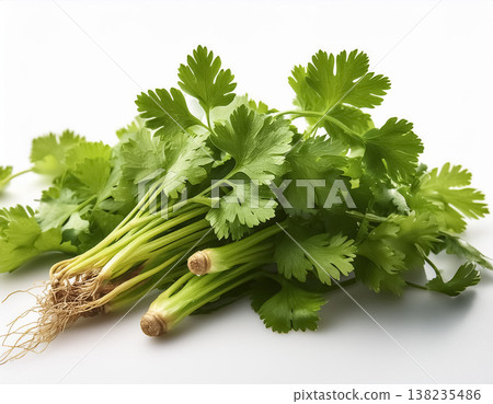 白色背景上的香菜食材 | 芳香蔬菜圖片 138235486