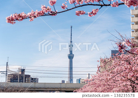 Tokyo Sky Tree and Kawazu Sakura 138235578